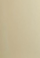 Solid high gloss cream sample