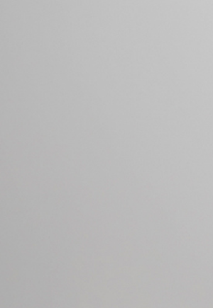 Solid light gray color swatch