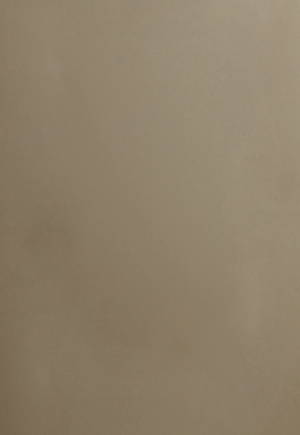 Bella Matt Stone Grey | Colour Swatch