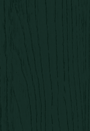 Solid dark green Fir Green color swatch