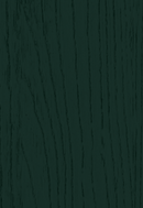 Solid dark green Fir Green color swatch