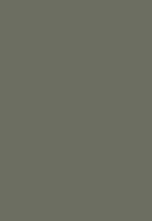 Bella supermatt SMOKE GREEN sample swatch