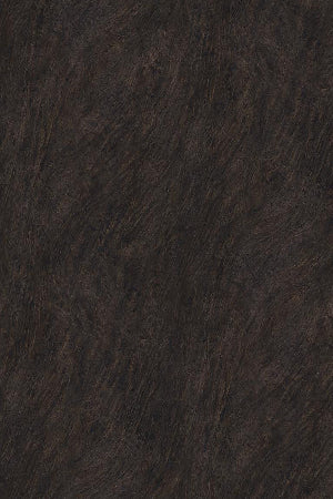 Close-up of dark brown textured slab door