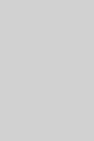 Solid light gray color swatch