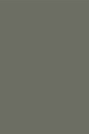Valore matt smoke green colour sample