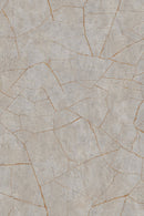 Textured stone surface with cracks and variations in color