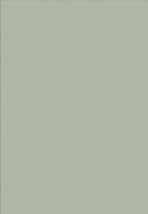 Bella Matt Sage Green | Colour Swatch