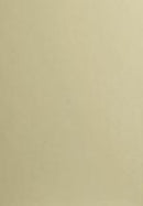 A swatch of matt vanilla color, with a solid, light beige background.